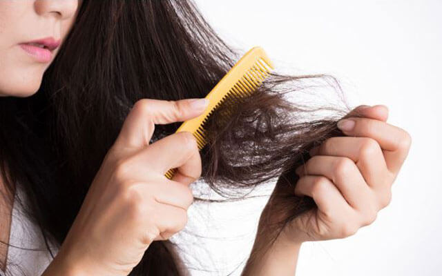 🥇 Tratamiento para cabello seco